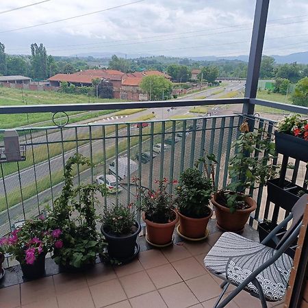 In casa Zoe Apartment Venaria Reale Bagian luar foto