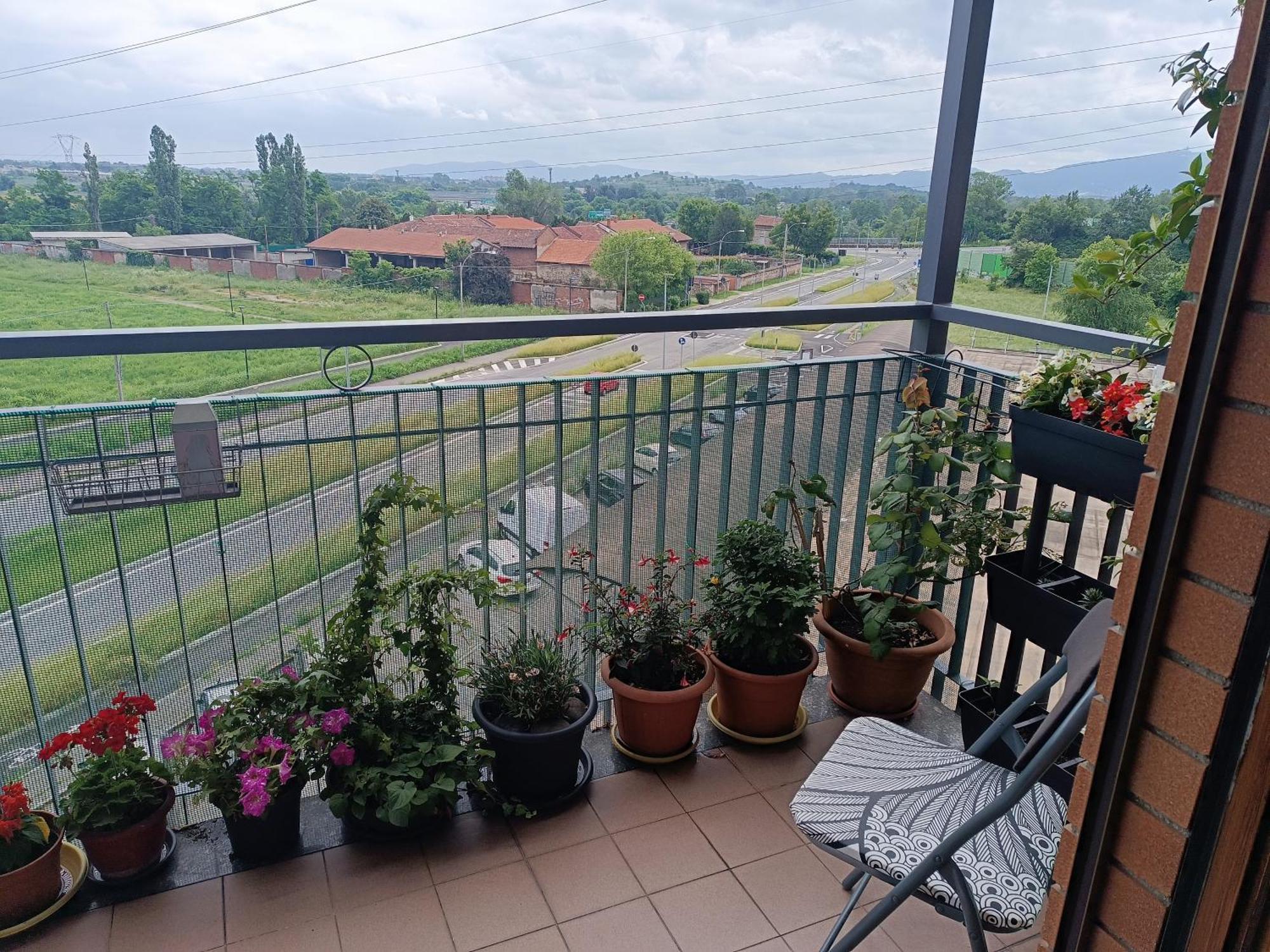 In casa Zoe Apartment Venaria Reale Bagian luar foto